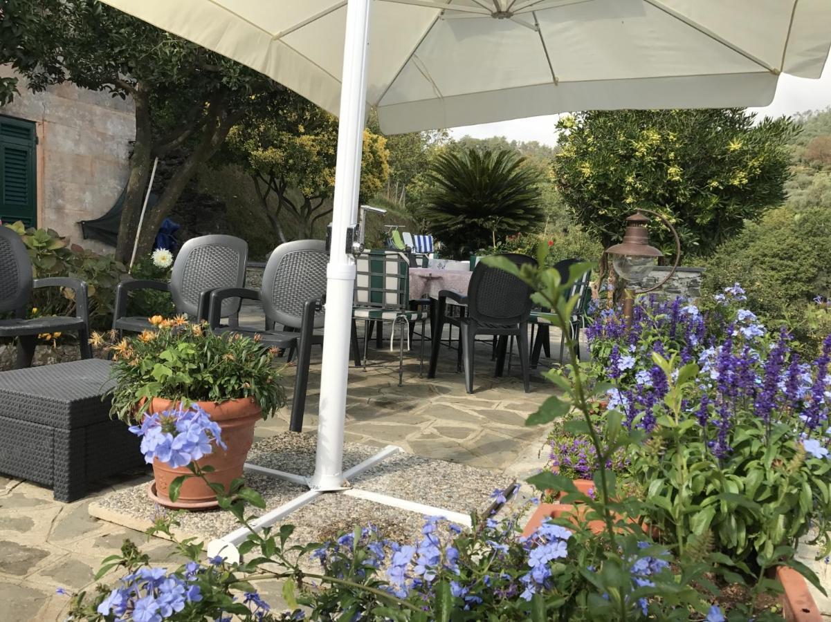Вилла Agriturismo Terre Rosse Портофино Экстерьер фото