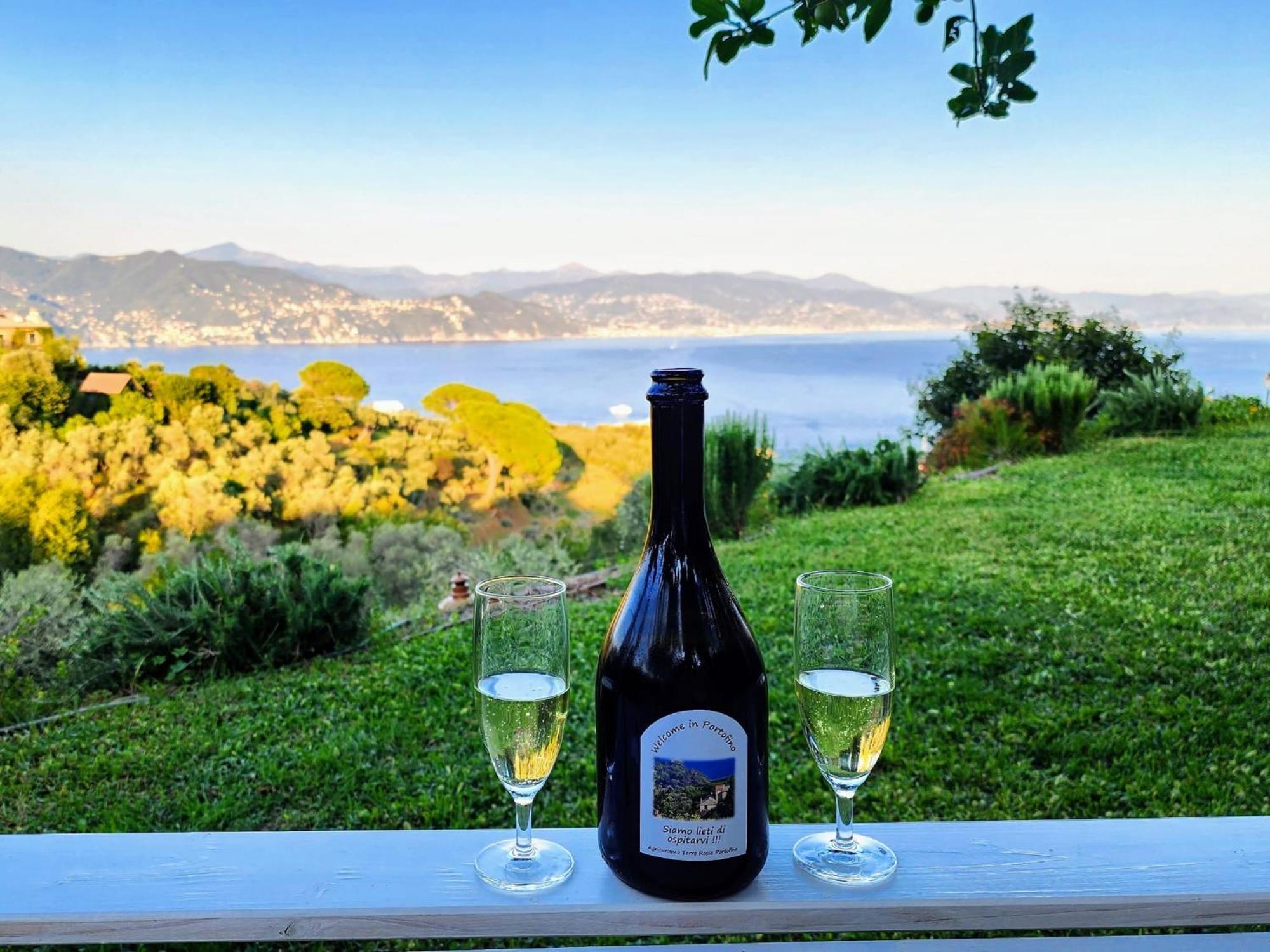 Вилла Agriturismo Terre Rosse Портофино Экстерьер фото