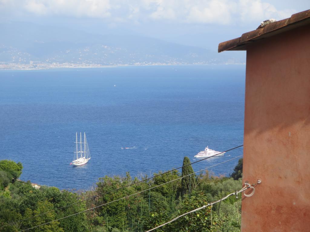 Вилла Agriturismo Terre Rosse Портофино Экстерьер фото