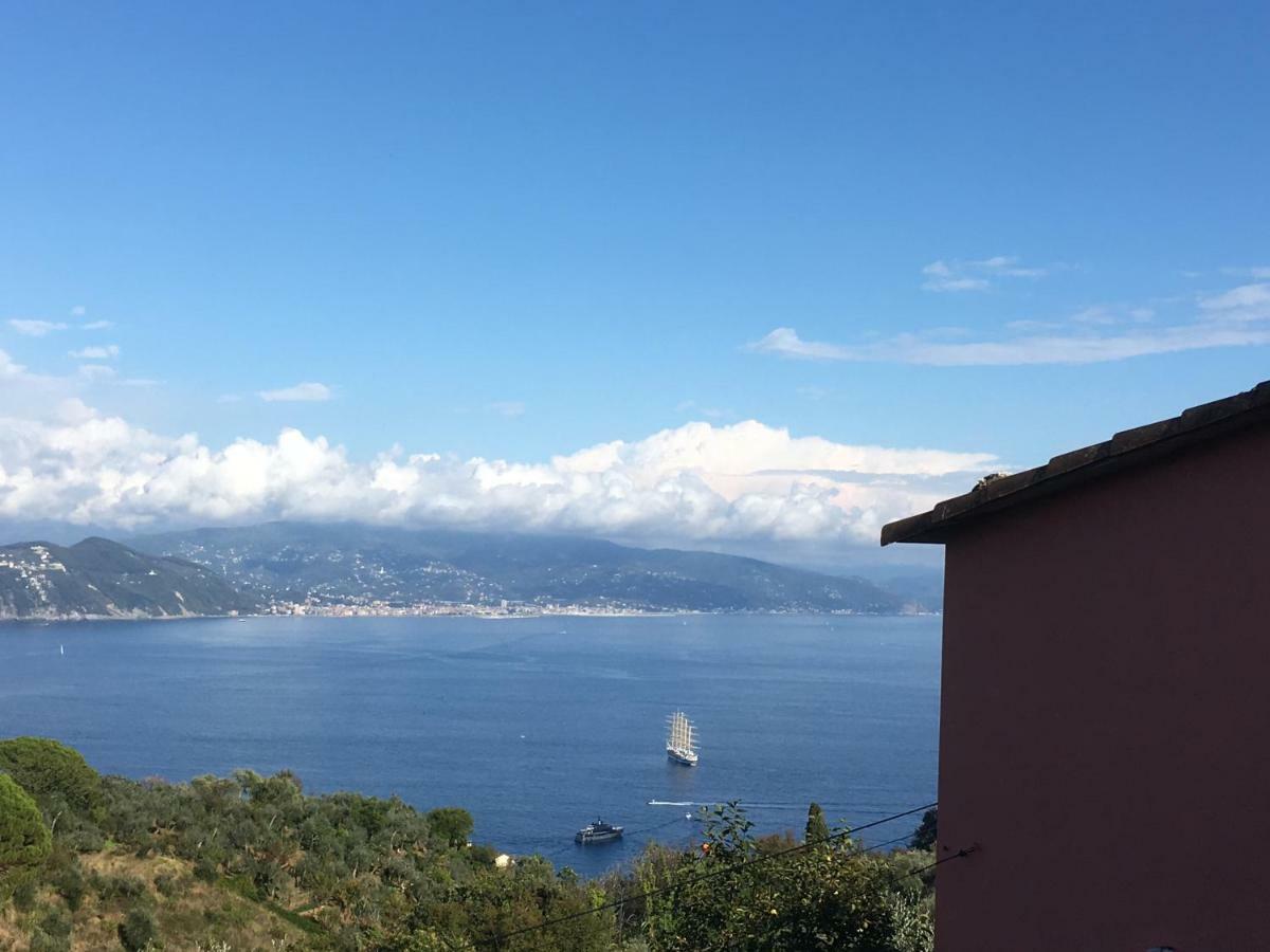 Вилла Agriturismo Terre Rosse Портофино Экстерьер фото